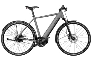 Riese & Müller Roadster4 Vario Purion 200 625Wh