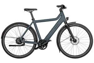 Riese & Müller Culture Vario Purion 200 400Wh