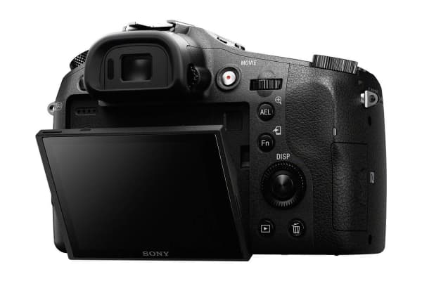 Sony - Cyber-shot DSC-RX10 - 9