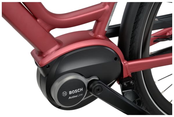 Batavus - Dinsdag E-go Classic 300Wh - 10