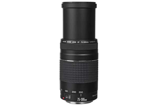 Canon - EOS 2000D 18-55mm DC met 75-300mm DC zwart - 7