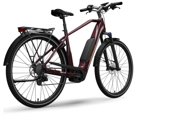Advanced - Trekking Plus 725Wh Deore 10 725Wh Diamant - 3