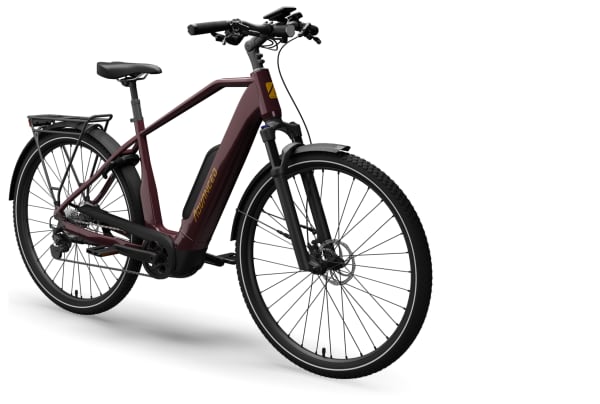 Advanced - Trekking Plus 725Wh Deore 10 725Wh Diamant - 1