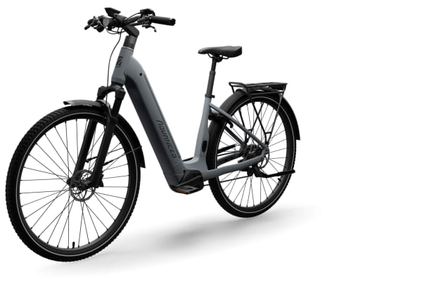 Advanced - Trekking Pro Enviolo 380 Tr Automatiq 750Wh - 5