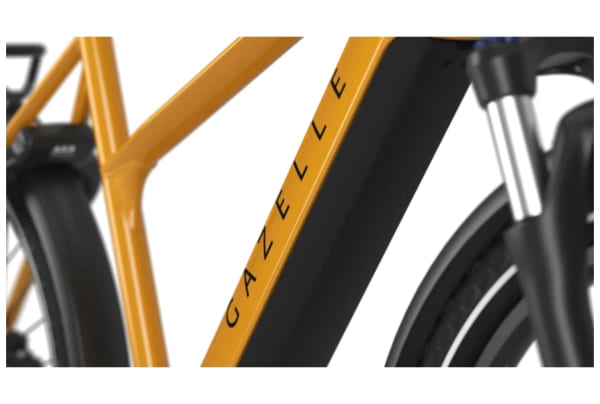 Gazelle - Medeo T10 HMB 625Wh - 6
