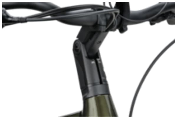 Batavus - Finez E-go Power Exclusive Plus BES3 750Wh Heren - 4