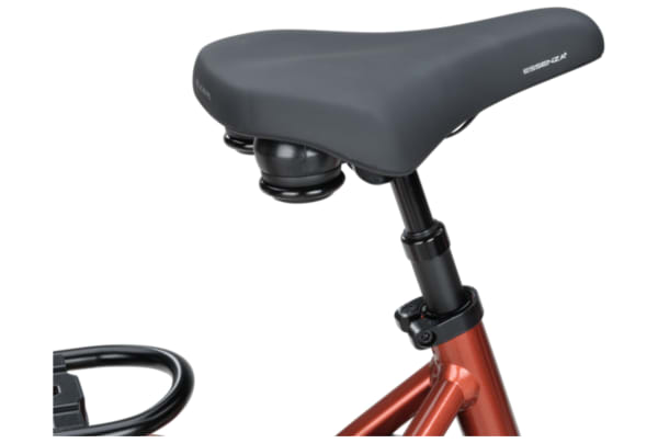Batavus - Finez E-go Power Exclusive BES3 750Wh - 33