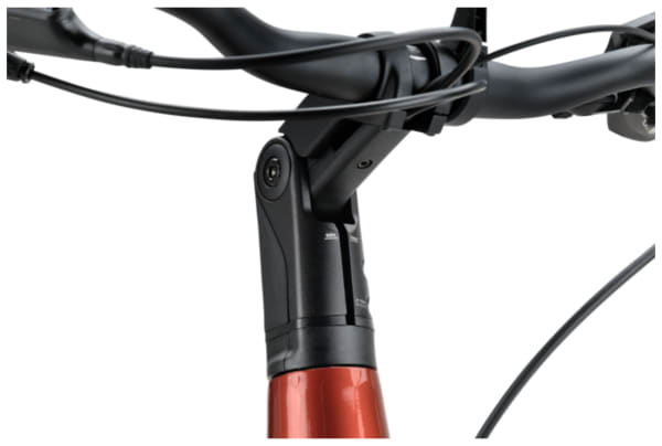 Batavus - Finez E-go Power Exclusive BES3 750Wh - 31