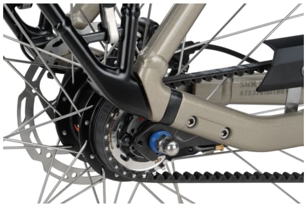 Batavus - Finez E-go Power Exclusive BES3 750Wh - 15