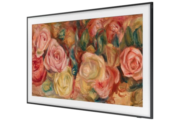 Samsung - QE55LS03D - 18