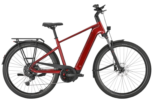 Pegasus - Premio Evo 10 Lite 600Wh Heren - 1