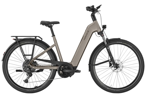 Pegasus - Premio Evo 10 Lite 600Wh - 3