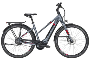 v1619045114/productvergelijker/ELFIETS/pegasus-tecaro-evo-nv-belt-grey-mat-elektrische-fietsen-damesfiets-45-cm-2