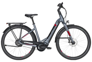 v1619045186/productvergelijker/ELFIETS/pegasus-tecaro-evo-nv-belt-grey-mat-elektrische-fietsen-damesfiets-45-cm%2B%25281%2529-0