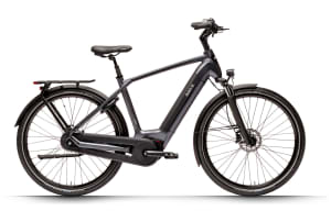 v1655383983/productvergelijker/ELFIETS/IC21816-0287-13_01%2BDutch%2BID%2BInfinity%2B50%2B500Wh-0