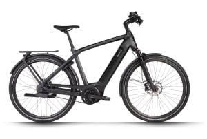 v1655386095/productvergelijker/ELFIETS/IC21816-0309-09_02%2BDutch%2BID%2BPhantom%2B85%2B500Wh-1