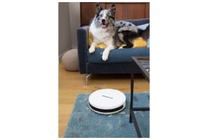 v1669212387/productvergelijker/ROBOTSTOFZ/13474414_kk_8-7