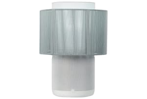 v1682929047/productvergelijker/DLSPEAKERS/iC21775-0204-00_01-1