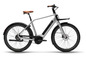 v1713872693/productvergelijker/ELFIETS/Flow-heren-Edit-1
