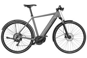 v1724414523/productvergelijker/ELFIETS/Roadster%2Btouring%2B25_2-0