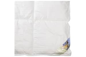 v1724941341/productvergelijker/DEKB/059-Liv_Fris_ontwaken_1200x800-0