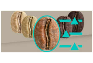 v1725613829/productvergelijker/ESPRAPP/50937564_kk_16-19