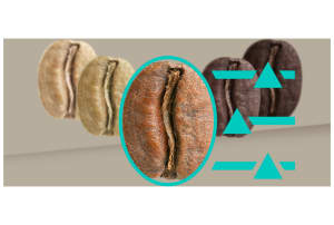 v1725613884/productvergelijker/ESPRAPP/50937564_kk_37-39