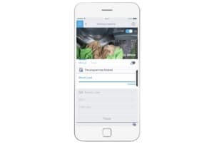 v1733395465/productvergelijker/WASM/51453803_kk_157-152