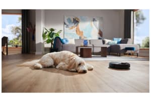 v1736352709/productvergelijker/ROBOTSTOFZ/50625611_kk_16-15