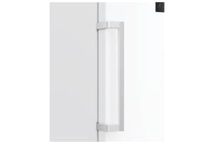 v1738152643/productvergelijker/VRIEZERS/50812794_kk_6-5