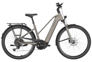 v1744756322/productvergelijker/ELFIETS/20231764C_03_Pegasus%2BPremio%2BEvo%2B10%2BLite%2B600Wh%2Bc%2Bmidden-3