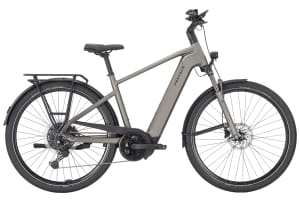v1744756339/productvergelijker/ELFIETS/20231764B_03_Pegasus%2BPremio%2BEvo%2B10%2BLite%2B600Wh%2Bb%2Bhoog-3