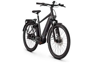 v1746695628/productvergelijker/ELFIETS/6000_g8ddUzwEjZ599U5R-3