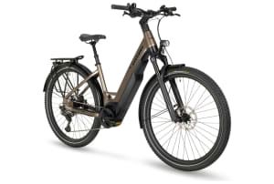 v1747923274/productvergelijker/ELFIETS/E-Universe%2B971%2BPlus%2BFEQ%2BForma_23_46_Honey%2BBrown%2Bangled%2BMY23-1