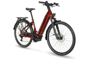 v1749823193/productvergelijker/ELFIETS/E-Triton%2B651%2BForma_23_46_Redwood%2Bangled%2BMY23-2