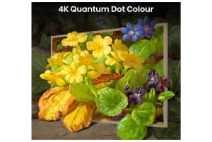 v1762360769/productvergelijker/KTV/52124954_kk_11-21