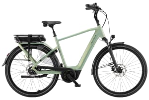 v1776171155/productvergelijker/ELFIETS/Pegasus%2BSiena%2BE8F%2BBelt%2B500Wh%2B20268023B%2B00-0