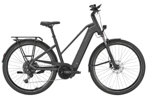 v1776171792/productvergelijker/ELFIETS/Pegasus%2BPremio%2BEvo%2B10%2BLite%2B600Wh%2B20268042C%2B02-2