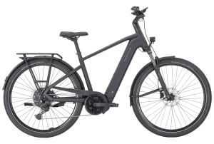 v1776171804/productvergelijker/ELFIETS/Pegasus%2BPremio%2BEvo%2B10%2BLite%2B600Wh%2B20268042B%2B02-3
