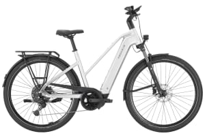 v1776171810/productvergelijker/ELFIETS/Pegasus%2BPremio%2BEvo%2B10%2BLite%2B600Wh%2B20268042C%2B00-1