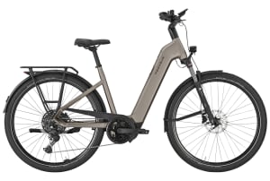 v1776171815/productvergelijker/ELFIETS/Pegasus%2BPremio%2BEvo%2B10%2BLite%2B600Wh%2B20268042A%2B03-3