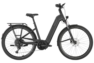 v1776171817/productvergelijker/ELFIETS/Pegasus%2BPremio%2BEvo%2B10%2BLite%2B600Wh%2B20268042A%2B02-2