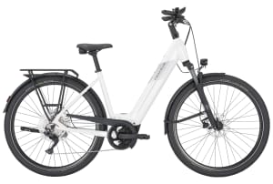 v1776171838/productvergelijker/ELFIETS/Pegasus%2BPremio%2BEvo%2B10%2B750Wh%2B20268039A%2B02-2