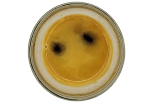 v1777543168/productvergelijker/ESPRAPP/23024-0163-00_033-3