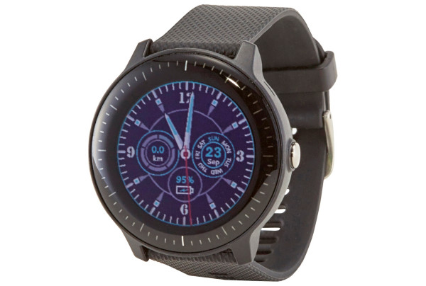 garmin vivoactive 3 music smartwatch